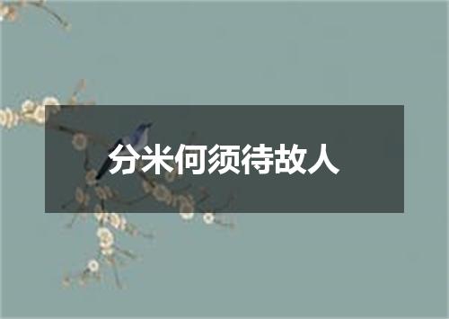 分米何须待故人