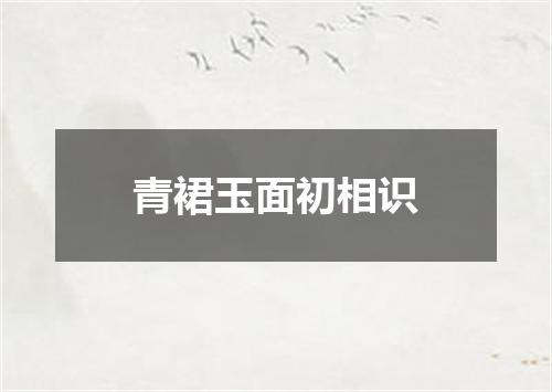 青裙玉面初相识