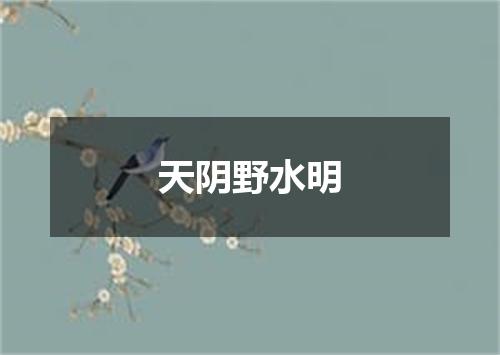 天阴野水明