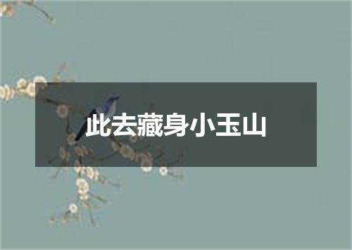 此去藏身小玉山