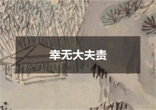 幸无大夫责