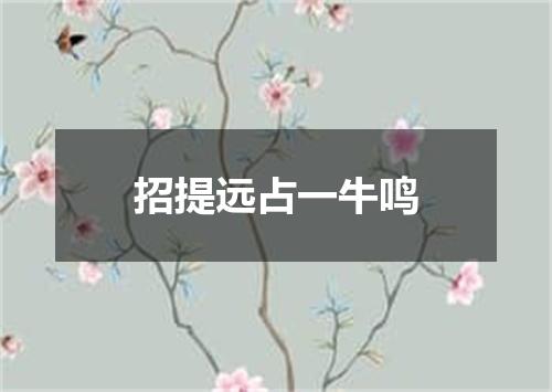 招提远占一牛鸣