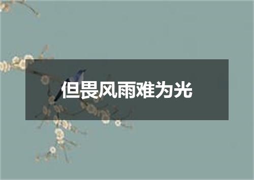 但畏风雨难为光