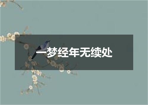 一梦经年无续处