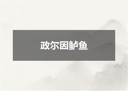 政尔因鲈鱼