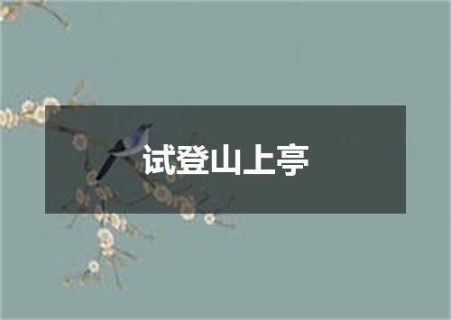 试登山上亭