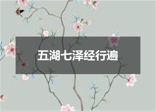 五湖七泽经行遍