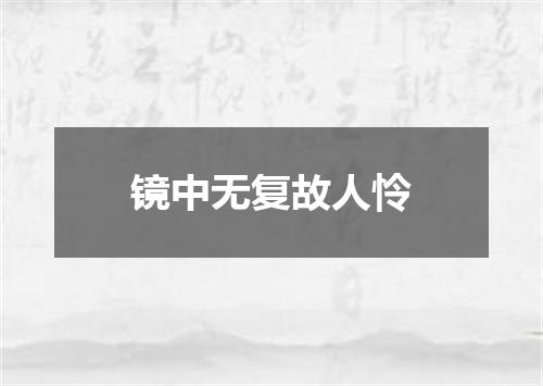 镜中无复故人怜