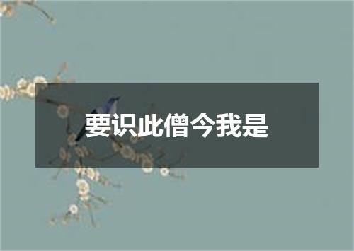 要识此僧今我是