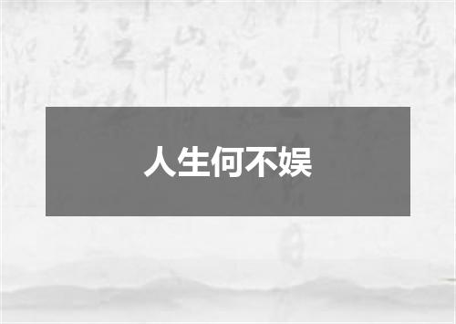 人生何不娱