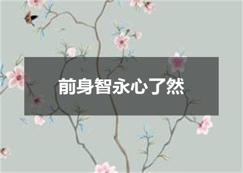 前身智永心了然
