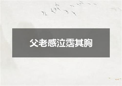 父老感泣霑其胸
