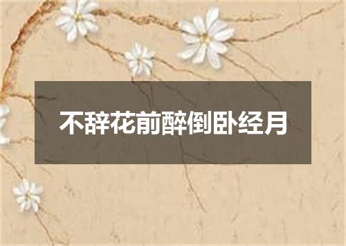 不辞花前醉倒卧经月