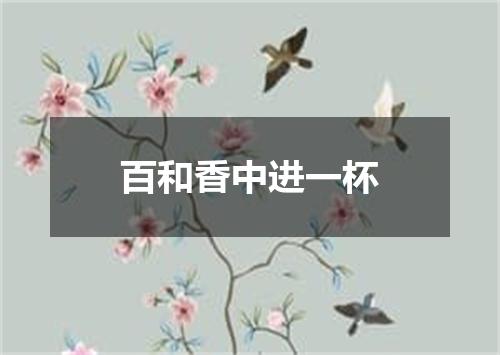 百和香中进一杯