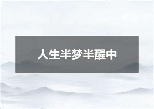 人生半梦半醒中