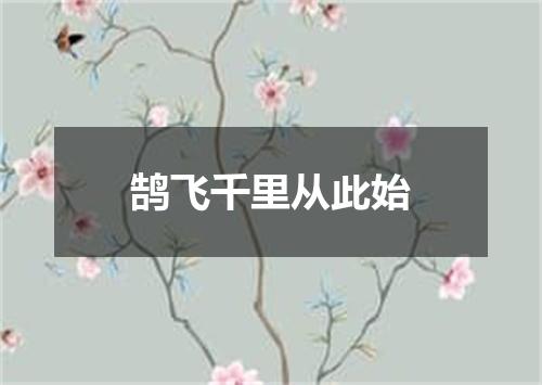 鹄飞千里从此始