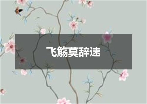 飞觞莫辞速