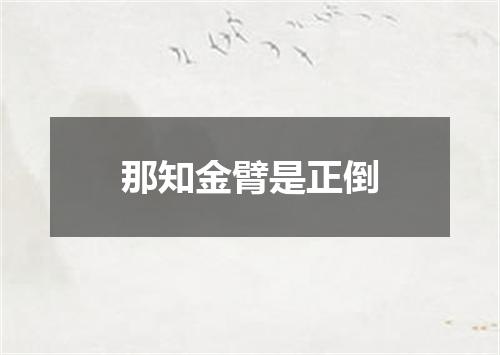 那知金臂是正倒