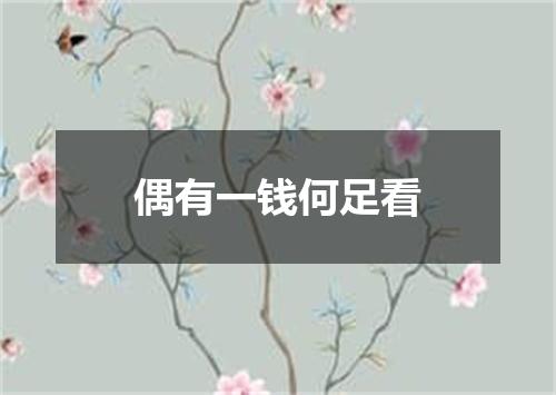偶有一钱何足看