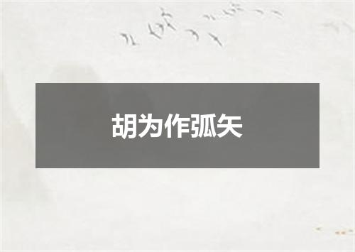 胡为作弧矢