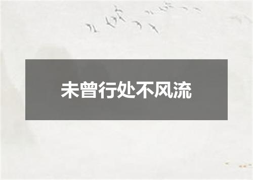 未曾行处不风流
