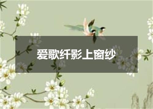 爱歌纤影上窗纱