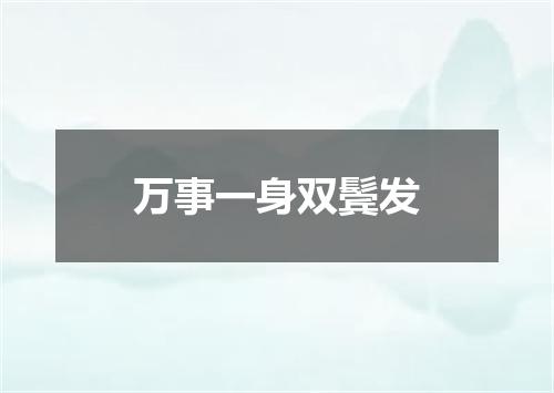 万事一身双鬓发