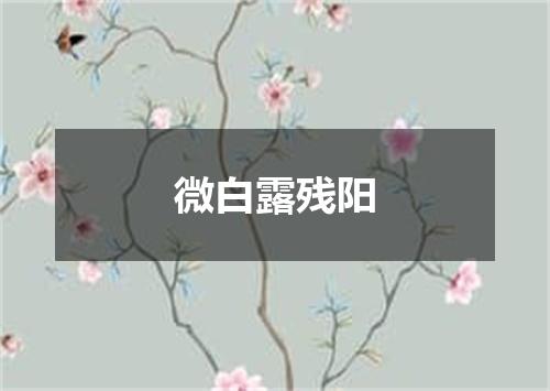 微白露残阳