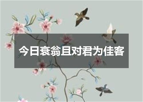 今日衰翁且对君为佳客