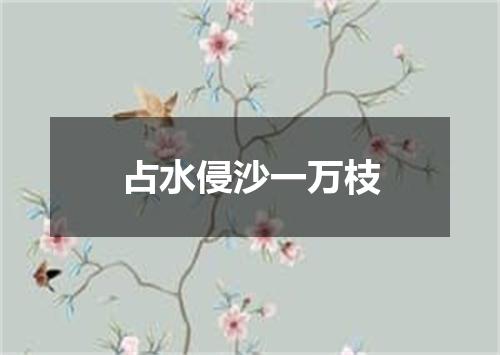 占水侵沙一万枝