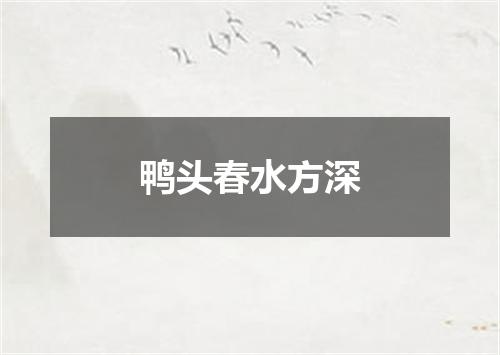 鸭头春水方深