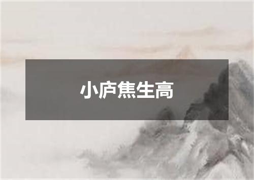 小庐焦生高