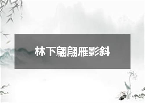 林下翩翩雁影斜