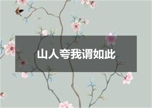 山人夸我谓如此