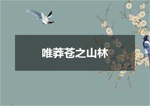 唯莽苍之山林