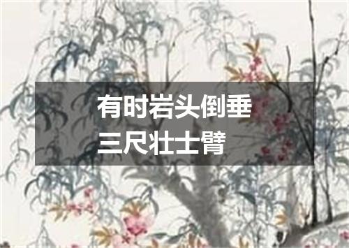 有时岩头倒垂三尺壮士臂