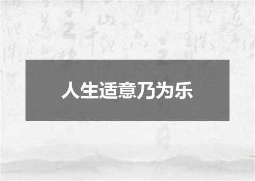 人生适意乃为乐