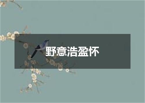 野意浩盈怀