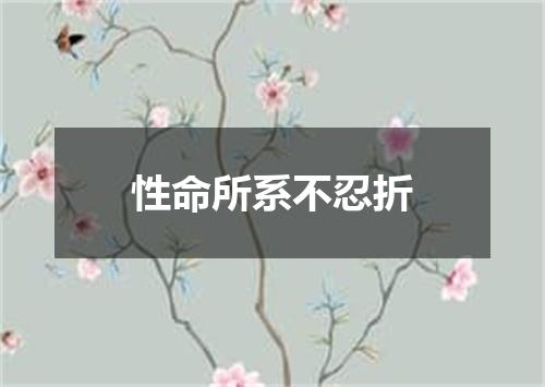 性命所系不忍折