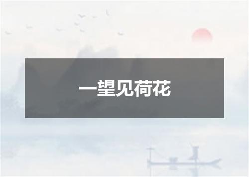 一望见荷花