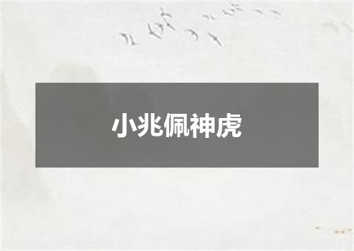 小兆佩神虎
