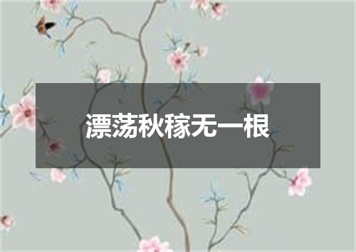漂荡秋稼无一根