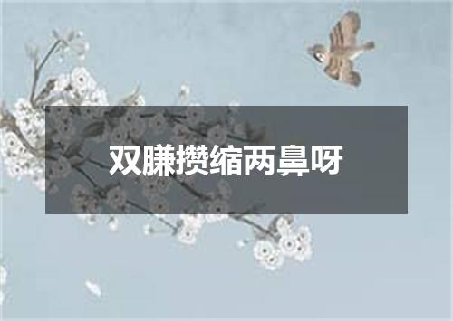 双膁攒缩两鼻呀