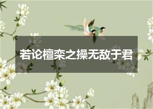 若论檀栾之操无敌于君