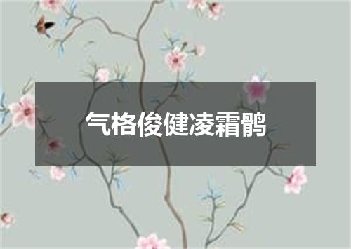 气格俊健凌霜鹘