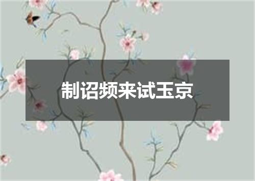 制诏频来试玉京