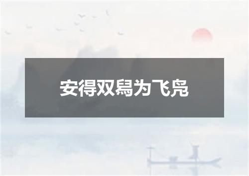 安得双舄为飞凫