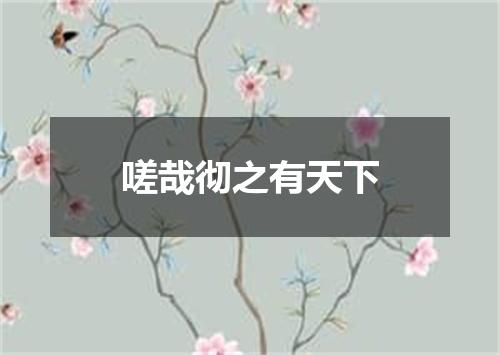 嗟哉彻之有天下