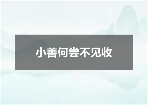 小善何尝不见收