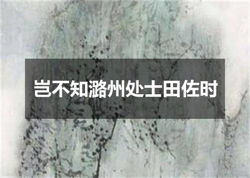 岂不知潞州处士田佐时